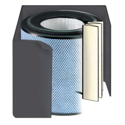 Compact Austin Air Allergy Filter for Small Spaces